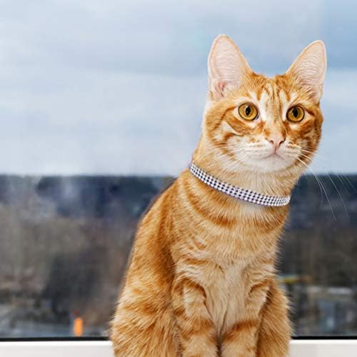 PUPTECK Temel Ayarlanabilir Kedi Yaka ile Bling Diamante ve Çift Bells, Yavru ve Küçük Köpek için, Moda ve Shining