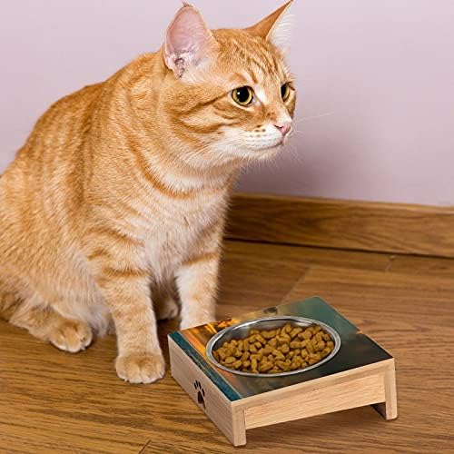 Kedi maması kaseleri Kaymaz Köpek Çanak evcil hayvan maması kaseleri Rüya Sığ Kedi su kasesi Kedi Besleme Geniş Kase evcil