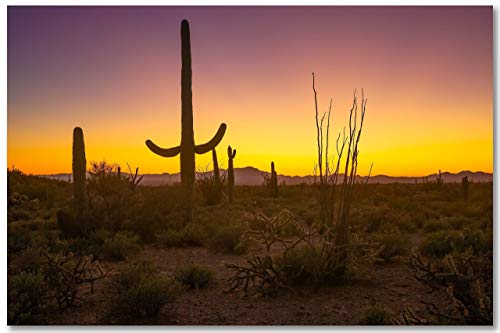 Southwest Fotoğraf Duvar Sanat Baskı-Resim Saguaro Kaktüs ve Çöl Sahne Yakın Parlayan Günbatımı Tuscon Arizona Güneybatı Dekor
