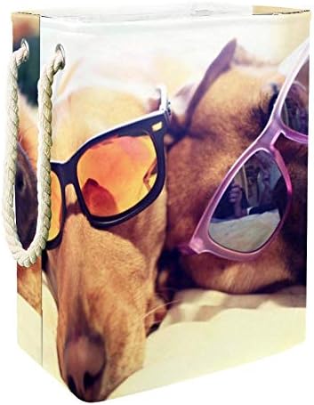 Unicey Köpekler Güneş Gözlüğü ile Büyük Depolama Bin Katlanabilir Çamaşır Sepeti için Kreş Sepet ve Çocuk Odası