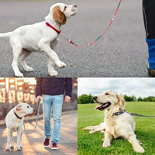 4 FT/5 FT Sevimli Köpek Tasması, Yürüyüş Eğitimi için Sağlam Baskılı Çiçek Desenli Kız Evcil Hayvan Tasmaları, Küçük, Orta
