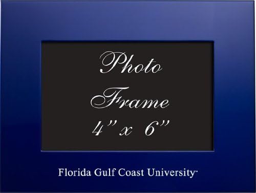 UXG, Inc. Florida Gulf Coast Üniversitesi - 4x6 Fırçalanmış Metal Resim Çerçevesi - Mavi