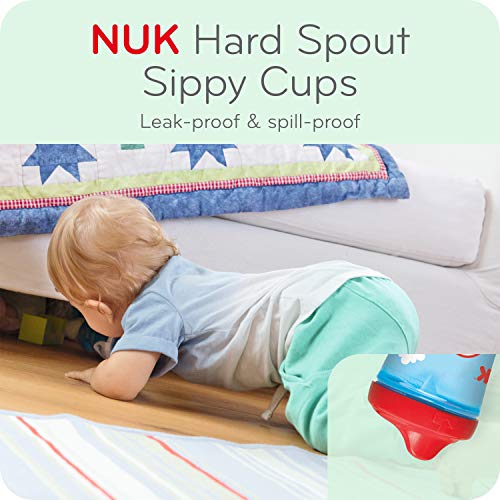 NUK Hard Spout Sippy Cup'ın ilk Temelleri