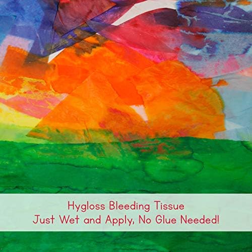 Hygloss Ürünleri Kanama Dokusu Çeşitleri-Çok Renkli Çeşitler 12 x 18 İnç, 100 Sayfa