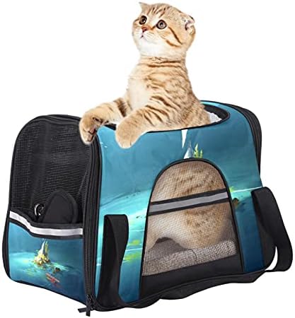 WOSHISHUI Yangın Soyut Pet Seyahat Taşıma Çantası, Taşınabilir Pet Çantası-Katlanır Kumaş Pet Taşıyıcı, Köpekler veya Kediler