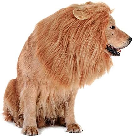 Lovelion Köpek Şapkaları-İlginç Köpek Kostümleri Cadılar Bayramı-Köpek Aslan Yelesi Hediye [Aslan Kuyruğu] - Aslan Peruk Orta