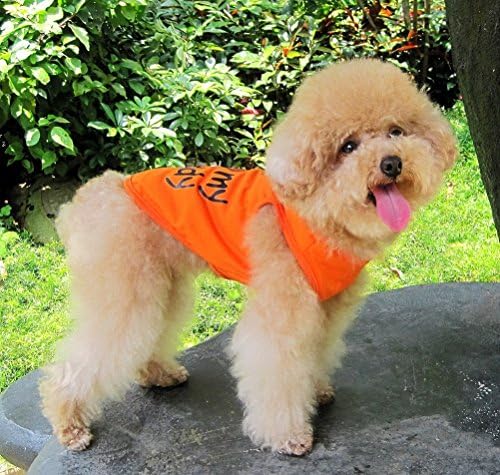 Zunea Annemi Seviyorum Küçük Köpek Tankı Yelek Gömlek Kumlu Plaj Pamuk T-Shirt Yavru Kedi Doggie Yorkshire Chihuahua Giysileri