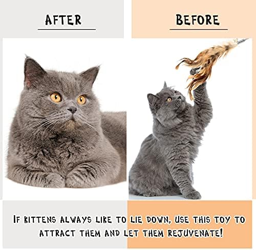 5 Parça Kedi Tüy Yaka Oyuncaklar Interaktif Kedi Oyuncaklar Kedi Değnek Oyuncak Eğleniyor Egzersiz Oynarken Yapay Tüy Değnek