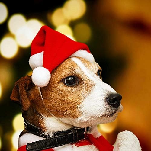 Benwanfee 3 Paket Noel Köpek Kostümleri Şapka Set Köpek Kostüm Tatil parti giysileri Giyilebilir Aksesuar için Küçük Orta Köpek,