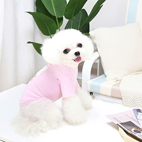 Pet Giysi, Sevimli Rahat Yumuşak Karikatür Ayı Baskı Tüm Maç Iki Bacak Pet Köpekler Kazak Kostüm Sonbahar Köpek Sıcak Yelek