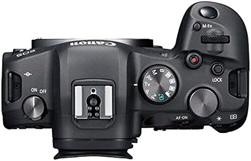 Canon EOS R6 Aynasız Dijital Fotoğraf Makinesi (Yalnızca Gövde) 20MP Tam Çerçeve CMOS Sensör + SanDisk 32GB Kart + Kılıf +
