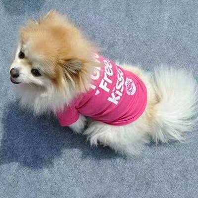 Jenerik Köpek Gömlek Küçük Köpek T-Shirt Sevimli Sıcak Pembe Komik İfade Pet Giyim Üst Rahat Pet Giysi Sevimli Köpek Rahat