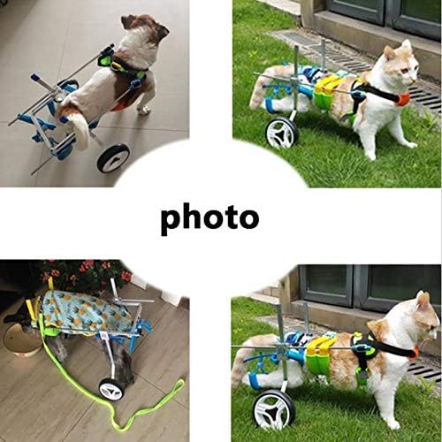 Arka Ayaklar için Mini Köpek Tekerlekli Sandalye, Ayarlanabilir Tam Destek 2 Tekerlekli Küçük Evcil Hayvan Tekerlekli Sandalye,