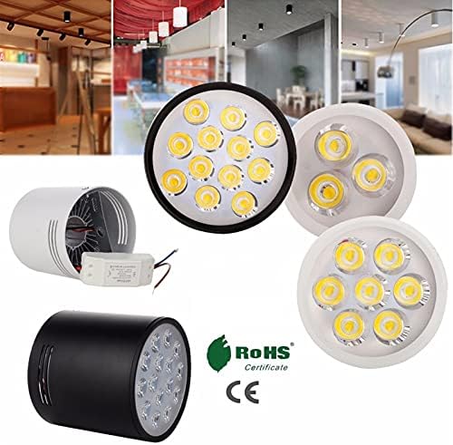 RZL LED ışıkları 3 W 5 W 7 W 9 W 12 W 15 W LED tavan Downlight yüzeye monte fikstür lamba spot ışık 85-265 v kabine Led aydınlatma